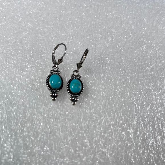 Sterling Silver Oval Turquoise Timeless New Deadstock Earrings - Picture 15 of 15